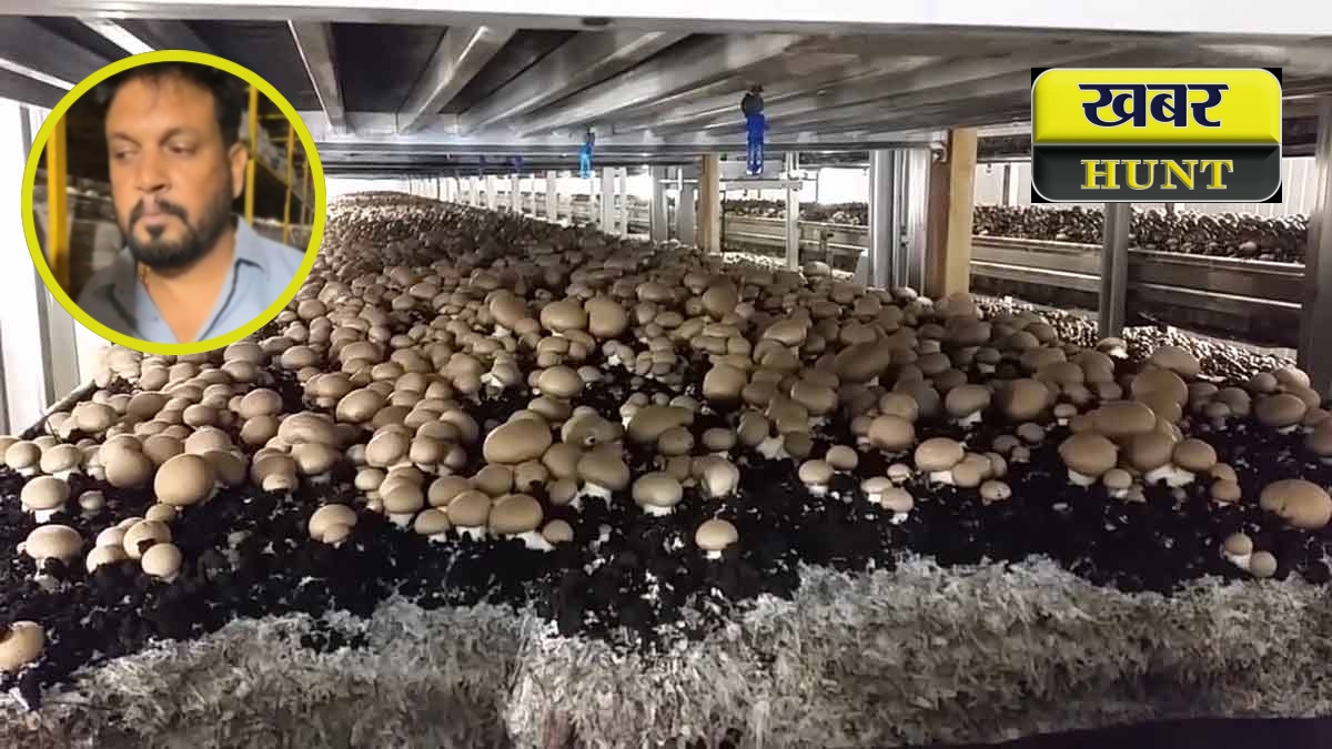 Mushroom-farm-tour