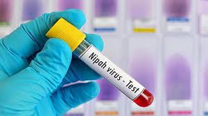 Nipah virus returns to Kerala: Alert in Kozhikode, Malappuram and Palakkad, two cases confirmed
