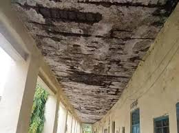 Plaster of the ceiling fell, children and teachers narrowly escaped: A major accident was averted in a government school in Rohtas